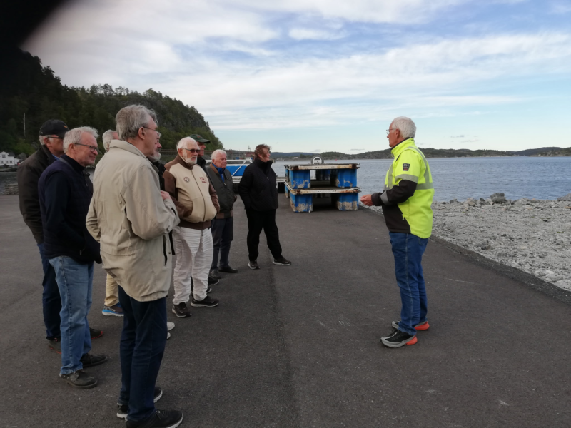 Proffhavn v/Svein Arne Walle